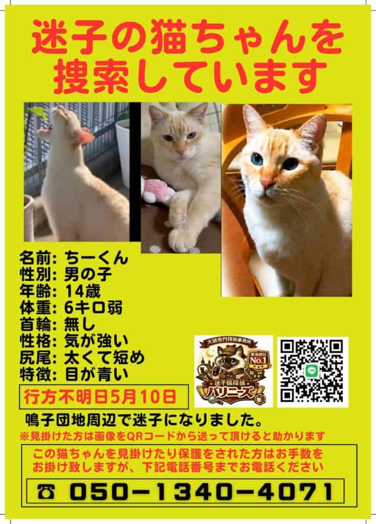 名古屋市緑区で迷子猫になったちーくんの捜索チラシ｜迷子猫探偵バリニーズ